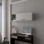 Wall Cabinet with Pneumatic Arms